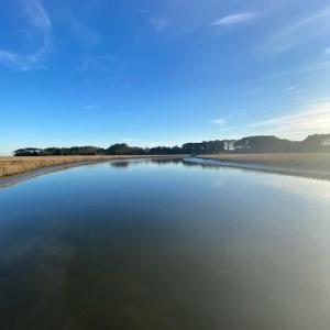 Photo #5 of lot 11 BARNES CIR, PARKSLEY, VA 1.2 acres