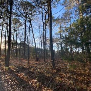 Photo #8 of lot 11 BARNES CIR, PARKSLEY, VA 1.2 acres