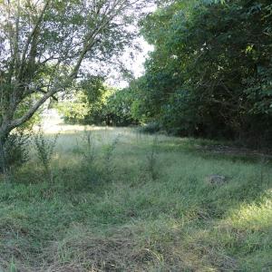 Portion of side yard