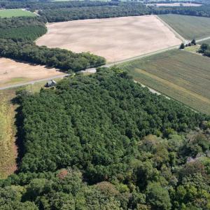 Another view looking East