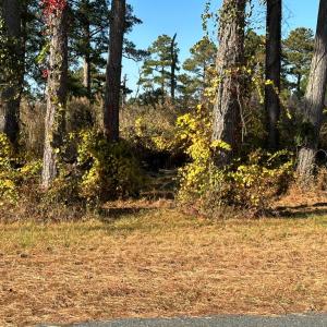 Photo #3 of 244A2 RIDGE RD, CHINCOTEAGUE, VA 0.3 acres