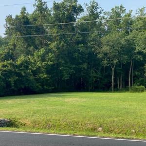 Photo #3 of 32128 CHINCOTEAGUE RD, NEW CHURCH, VA 0.7 acres