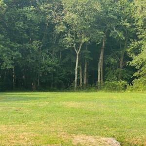 Photo #5 of 32128 CHINCOTEAGUE RD, NEW CHURCH, VA 0.7 acres