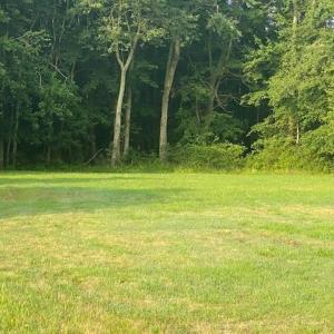 Photo #7 of 32128 CHINCOTEAGUE RD, NEW CHURCH, VA 0.7 acres