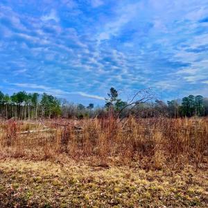 Photo #3 of Lot 209 BETHEL CHURCH RD, HALLWOOD, VA 7,505.0 acres