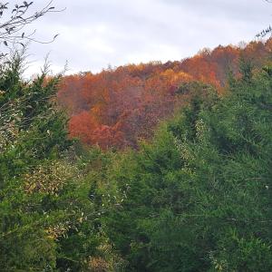 Photo #36 of 3 CROWN RIDGE BERRY FARM RD, STAUNTON, VA 17.8 acres