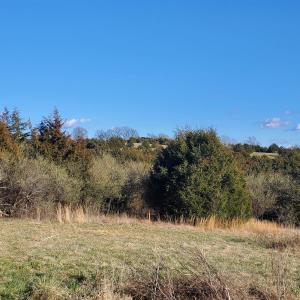 Photo #22 of 3 CROWN RIDGE BERRY FARM RD, STAUNTON, VA 17.8 acres