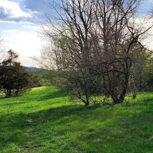 Photo #10 of 3 CROWN RIDGE BERRY FARM RD, STAUNTON, VA 17.8 acres
