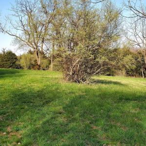 Photo #11 of 3 CROWN RIDGE BERRY FARM RD, STAUNTON, VA 17.8 acres