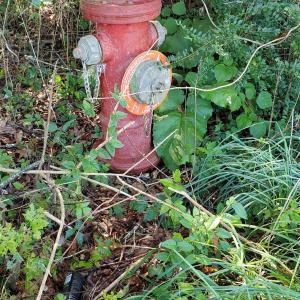 Public water through the Augusta County Service Authority is available for connection for a fee of approximately $4,000