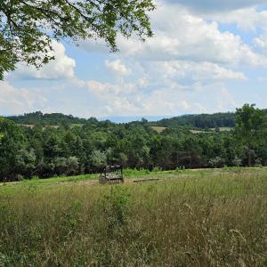 Photo #19 of 3 CROWN RIDGE BERRY FARM RD, STAUNTON, VA 17.8 acres