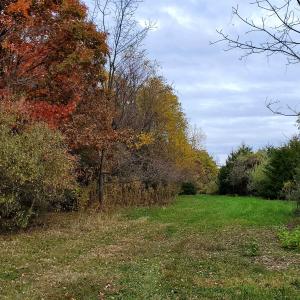 Photo #43 of 3 CROWN RIDGE BERRY FARM RD, STAUNTON, VA 17.8 acres