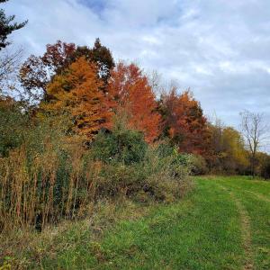 Photo #37 of 3 CROWN RIDGE BERRY FARM RD, STAUNTON, VA 17.8 acres
