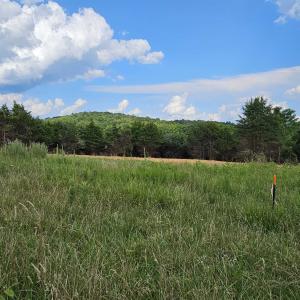 Photo #15 of 3 CROWN RIDGE BERRY FARM RD, STAUNTON, VA 17.8 acres