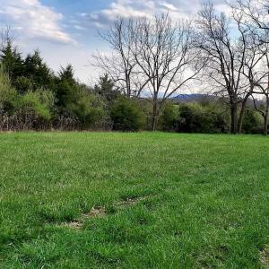 Photo #8 of 3 CROWN RIDGE BERRY FARM RD, STAUNTON, VA 17.8 acres