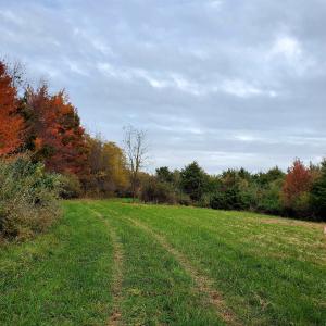 Photo #21 of 3 CROWN RIDGE BERRY FARM RD, STAUNTON, VA 17.8 acres