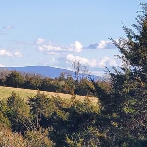 Photo #5 of 3 CROWN RIDGE BERRY FARM RD, STAUNTON, VA 17.8 acres