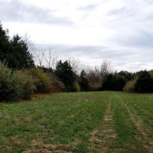 Photo #12 of 3 CROWN RIDGE BERRY FARM RD, STAUNTON, VA 17.8 acres