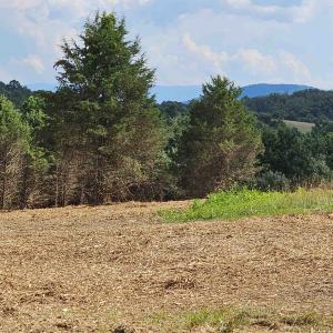 Photo #4 of 3 CROWN RIDGE BERRY FARM RD, STAUNTON, VA 17.8 acres