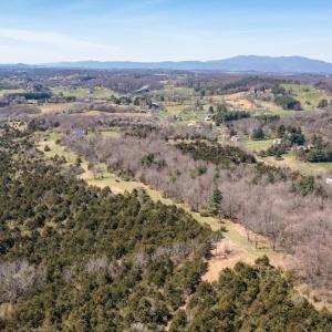 In 2023 a great deal more land was cleared to provide more open space and provide beautiful views of the Blue Ridge Mountains. These improvements are not reflected in these drone shots.