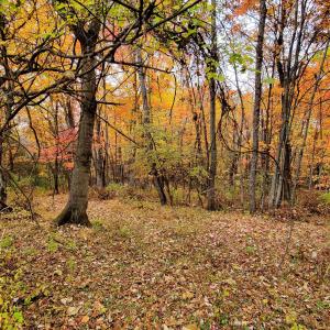Photo #32 of 3 CROWN RIDGE BERRY FARM RD, STAUNTON, VA 17.8 acres