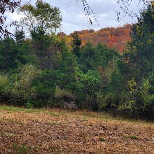 Photo #33 of 3 CROWN RIDGE BERRY FARM RD, STAUNTON, VA 17.8 acres