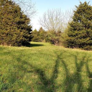 Photo #18 of 3 CROWN RIDGE BERRY FARM RD, STAUNTON, VA 17.8 acres