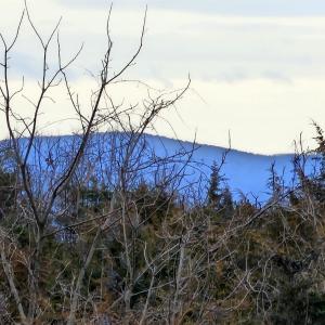 Photo #3 of 3 CROWN RIDGE BERRY FARM RD, STAUNTON, VA 17.8 acres