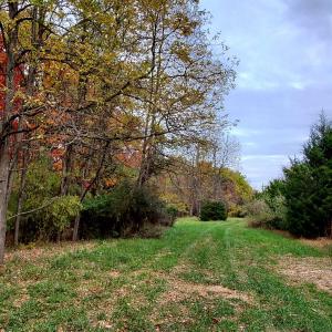 Photo #17 of 3 CROWN RIDGE BERRY FARM RD, STAUNTON, VA 17.8 acres