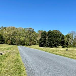 Photo #24 of 13 BAY VIEW LANE, ATLANTIC, VA 0.7 acres