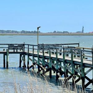 Photo #12 of 13 BAY VIEW LANE, ATLANTIC, VA 0.7 acres