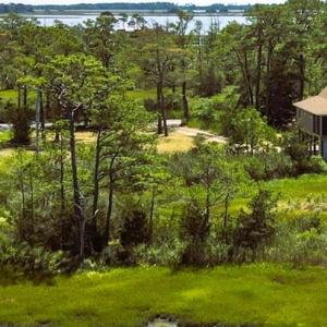 Photo #10 of 11 WILDCAT LN, CHINCOTEAGUE, VA 3.7 acres