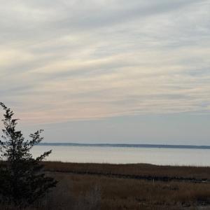 Photo #3 of 11 WILDCAT LN, CHINCOTEAGUE, VA 3.7 acres