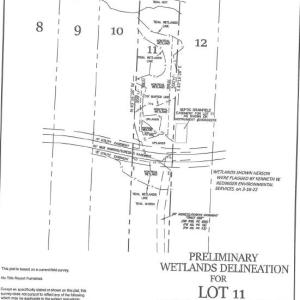 Photo #11 of 11 WILDCAT LN, CHINCOTEAGUE, VA 3.7 acres