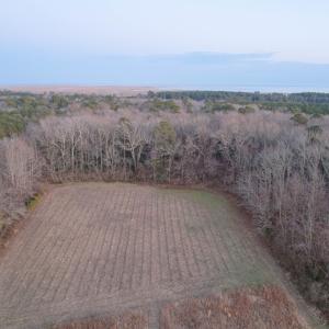 Photo #10 of Parcel Y WEBB ISLAND DR, MACHIPONGO, VA 187.4 acres