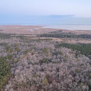 Photo #11 of Parcel Y WEBB ISLAND DR, MACHIPONGO, VA 187.4 acres