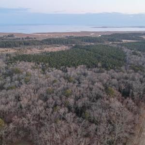 Photo #12 of Parcel Y WEBB ISLAND DR, MACHIPONGO, VA 187.4 acres