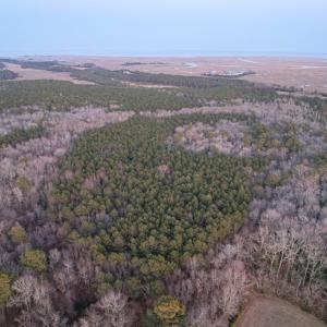 Photo #13 of Parcel Y WEBB ISLAND DR, MACHIPONGO, VA 187.4 acres