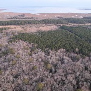 Photo #15 of Parcel Y WEBB ISLAND DR, MACHIPONGO, VA 187.4 acres