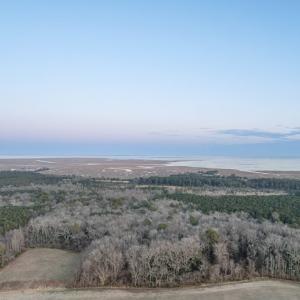 Photo #2 of Parcel Y WEBB ISLAND DR, MACHIPONGO, VA 187.4 acres