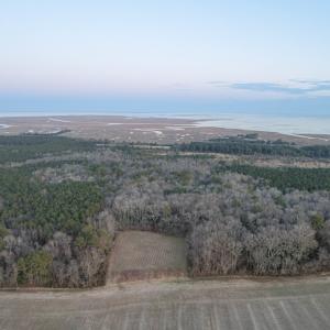 Photo #4 of Parcel Y WEBB ISLAND DR, MACHIPONGO, VA 187.4 acres