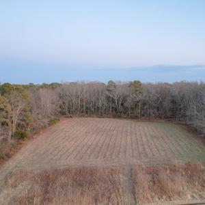 Photo #5 of Parcel Y WEBB ISLAND DR, MACHIPONGO, VA 187.4 acres