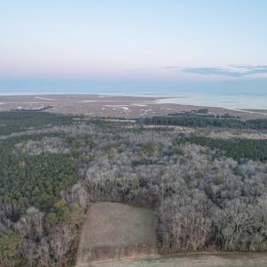 Photo #6 of Parcel Y WEBB ISLAND DR, MACHIPONGO, VA 187.4 acres