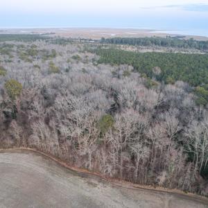 Photo #7 of Parcel Y WEBB ISLAND DR, MACHIPONGO, VA 187.4 acres