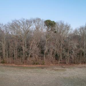 Photo #8 of Parcel Y WEBB ISLAND DR, MACHIPONGO, VA 187.4 acres