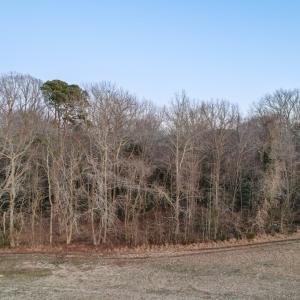 Photo #9 of Parcel Y WEBB ISLAND DR, MACHIPONGO, VA 187.4 acres