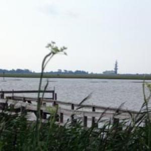 Photo #6 of Lot 16 OYSTER COVE LANE, ATLANTIC, VA 0.8 acres