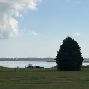 Photo #2 of Lot 16 OYSTER COVE LANE, ATLANTIC, VA 0.8 acres