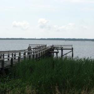 Photo #5 of Lot 9 BAYVIEW LN, ATLANTIC, VA 0.9 acres