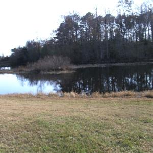 Photo #15 of Lot 112 COVENTON LANE, HORNTOWN, VA 3.2 acres